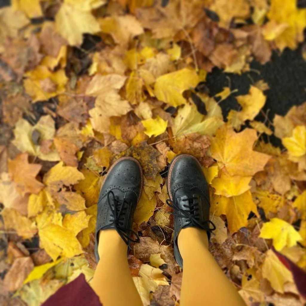 80 Denier Tights - Colonel Mustard - Zenithce