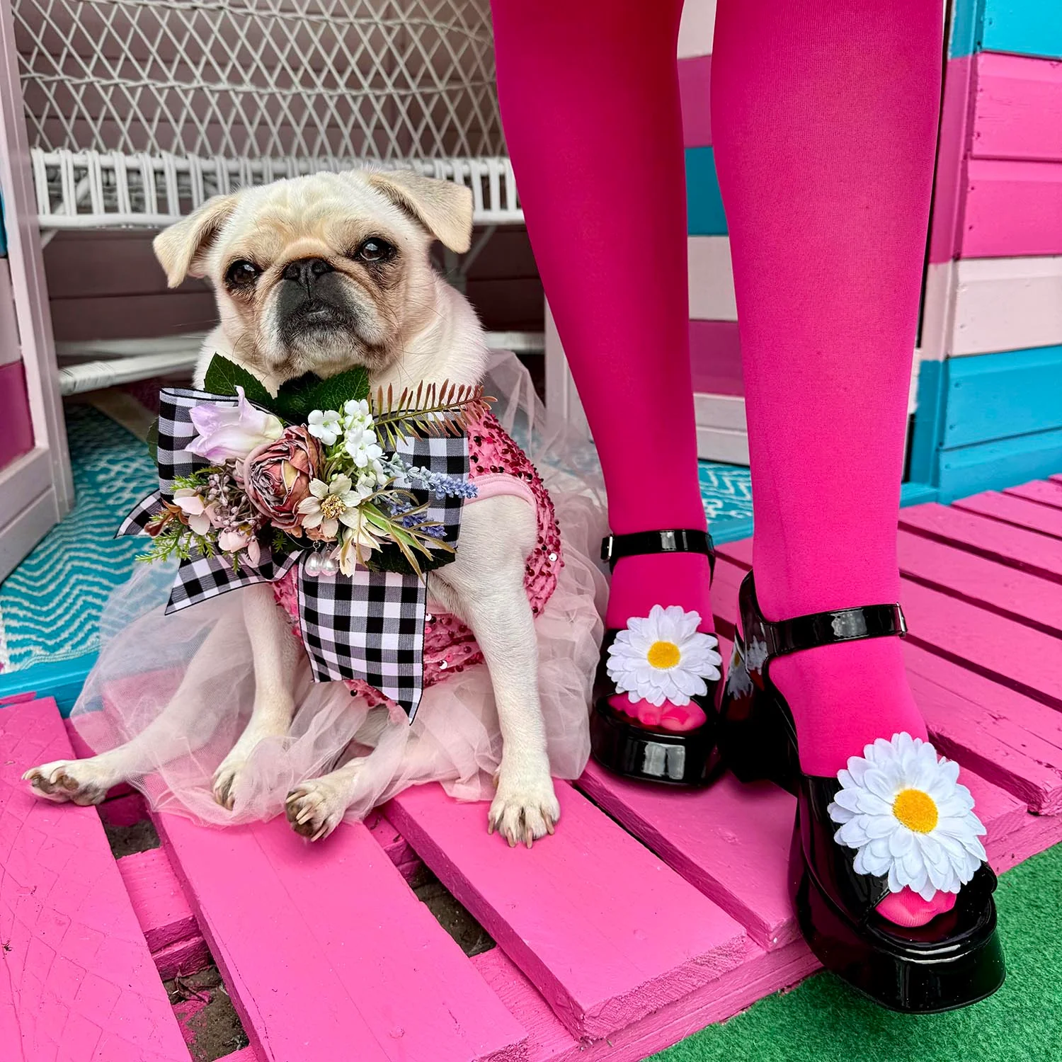 50 Denier Tights - Barbara - Zenithce