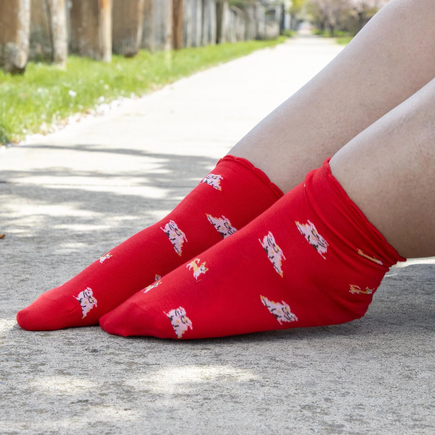 Bamboo Ankle Socks - Woof - Zenithce