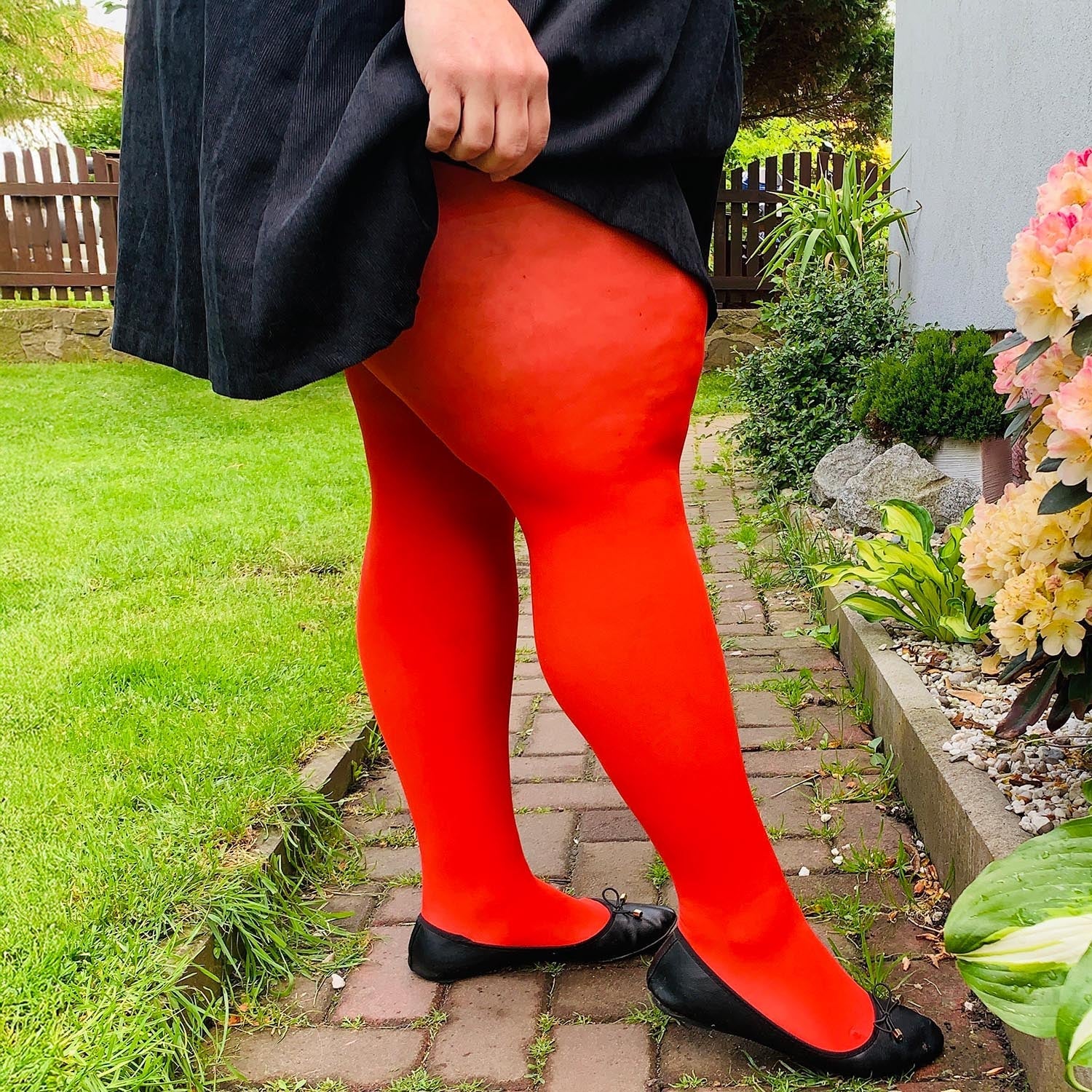50 Denier Tights - Sangria - Zenithce