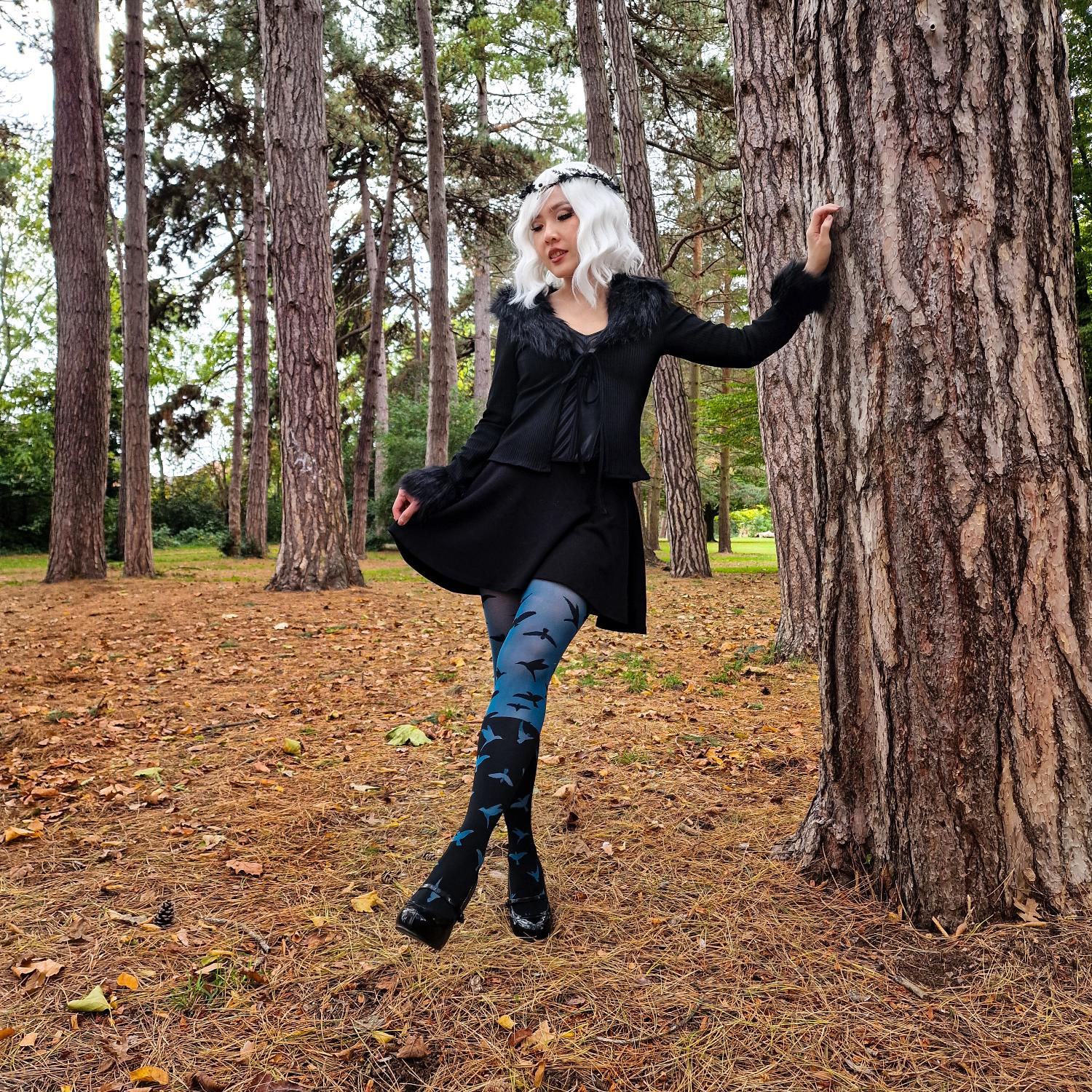 The Birds 80 Denier Tights - Aurora - Zenithce