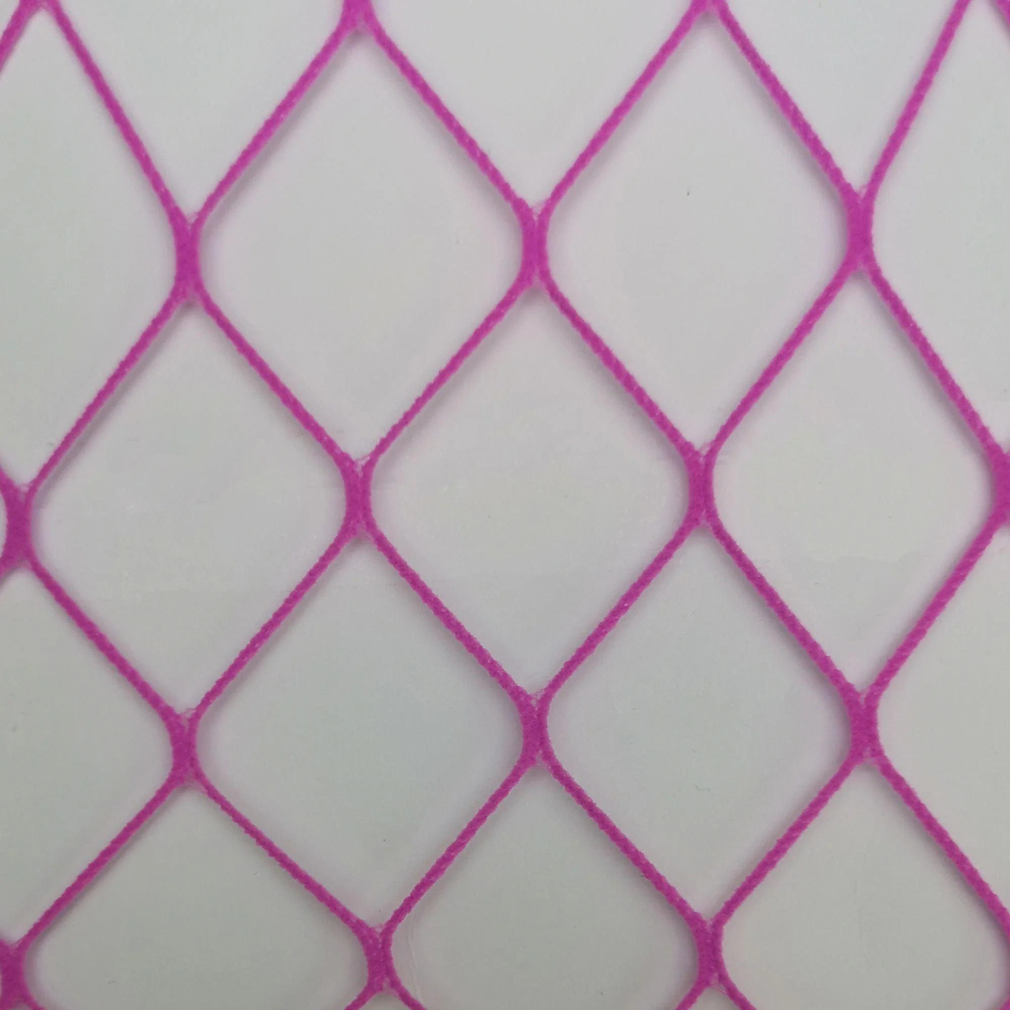 Sharkies - Bodacious - Zenithce