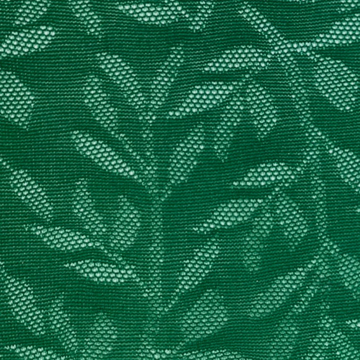 Jurassic Jungle - Zenithce