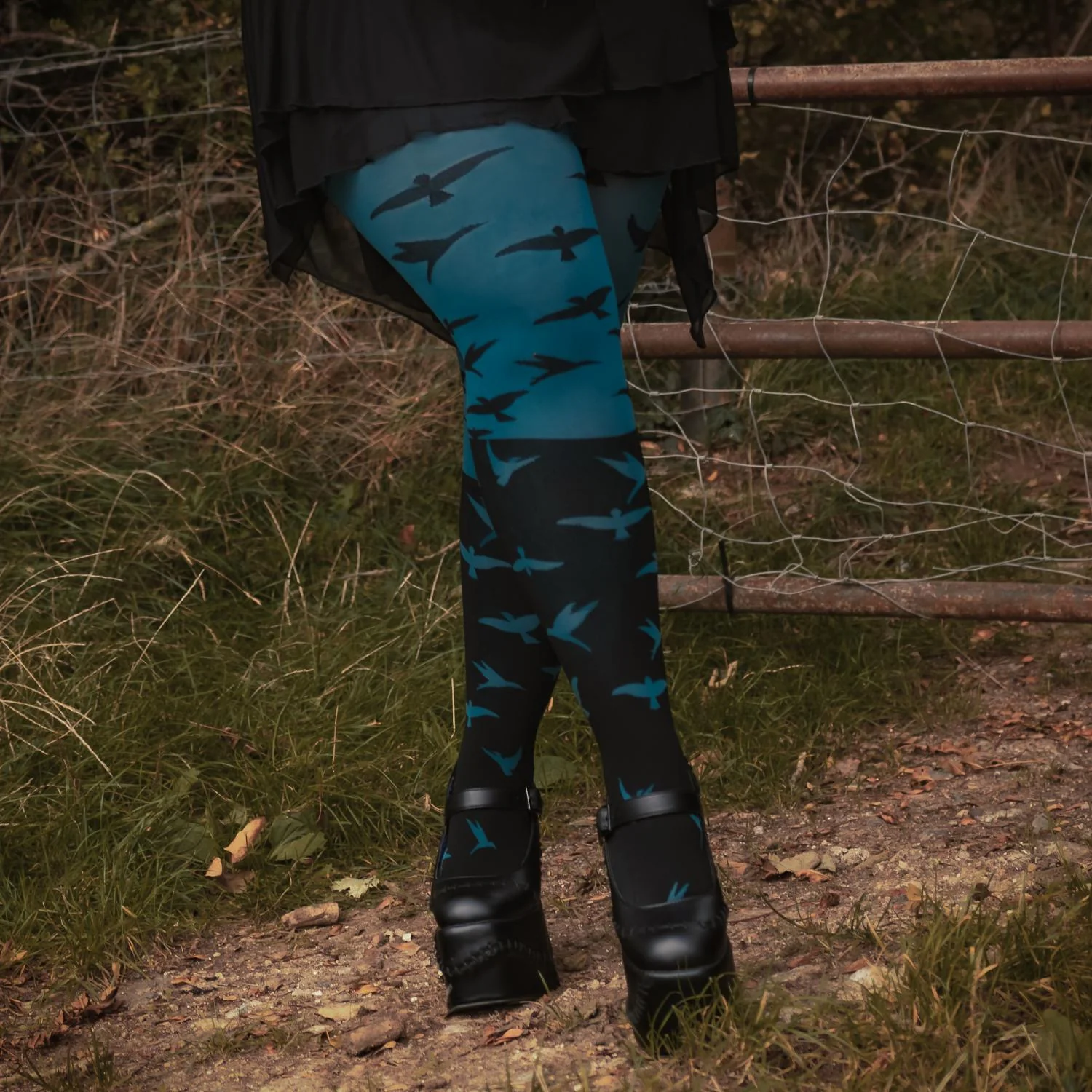 The Birds 80 Denier Tights - Aurora - Zenithce