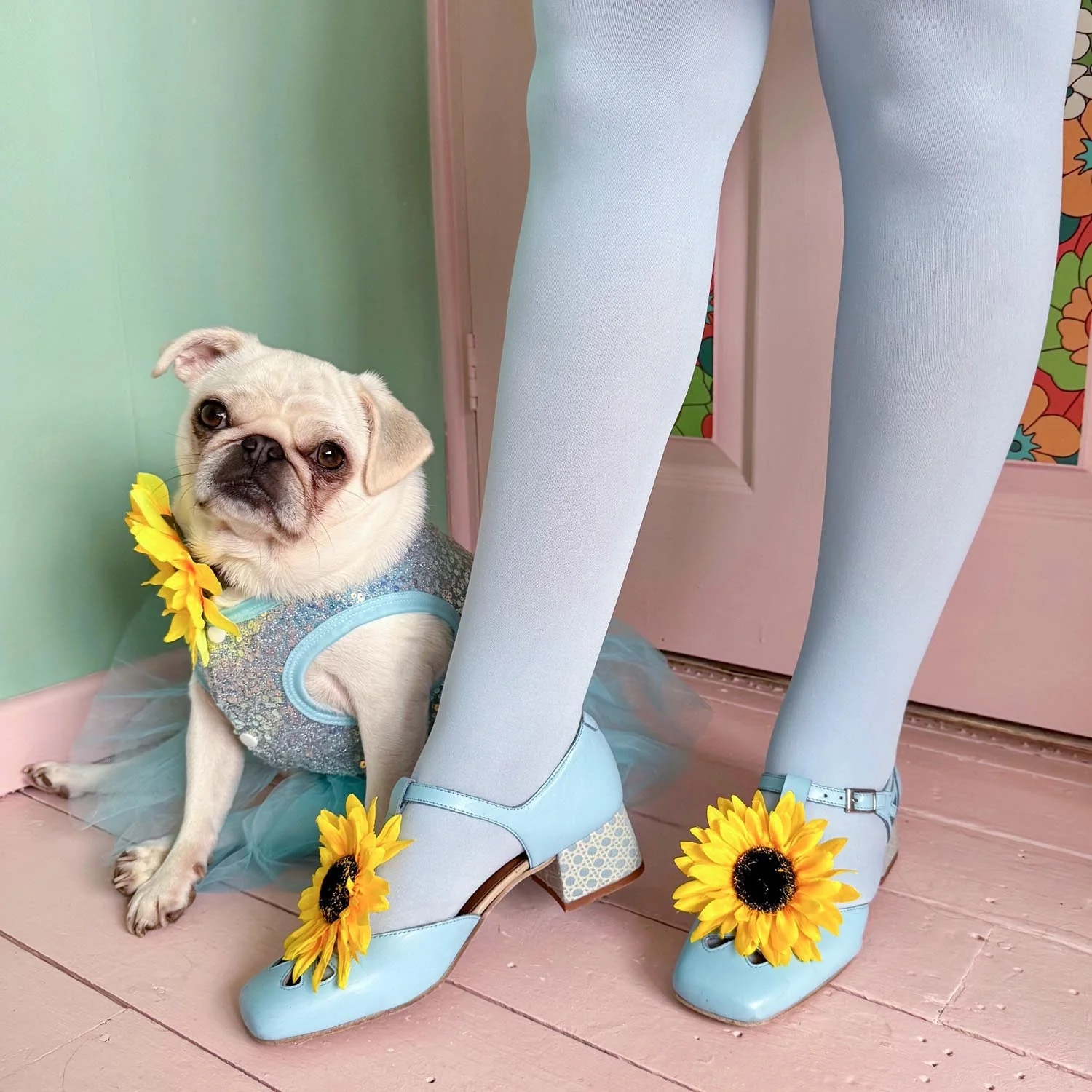 80 Denier Tights - Menthe Glacier - Zenithce