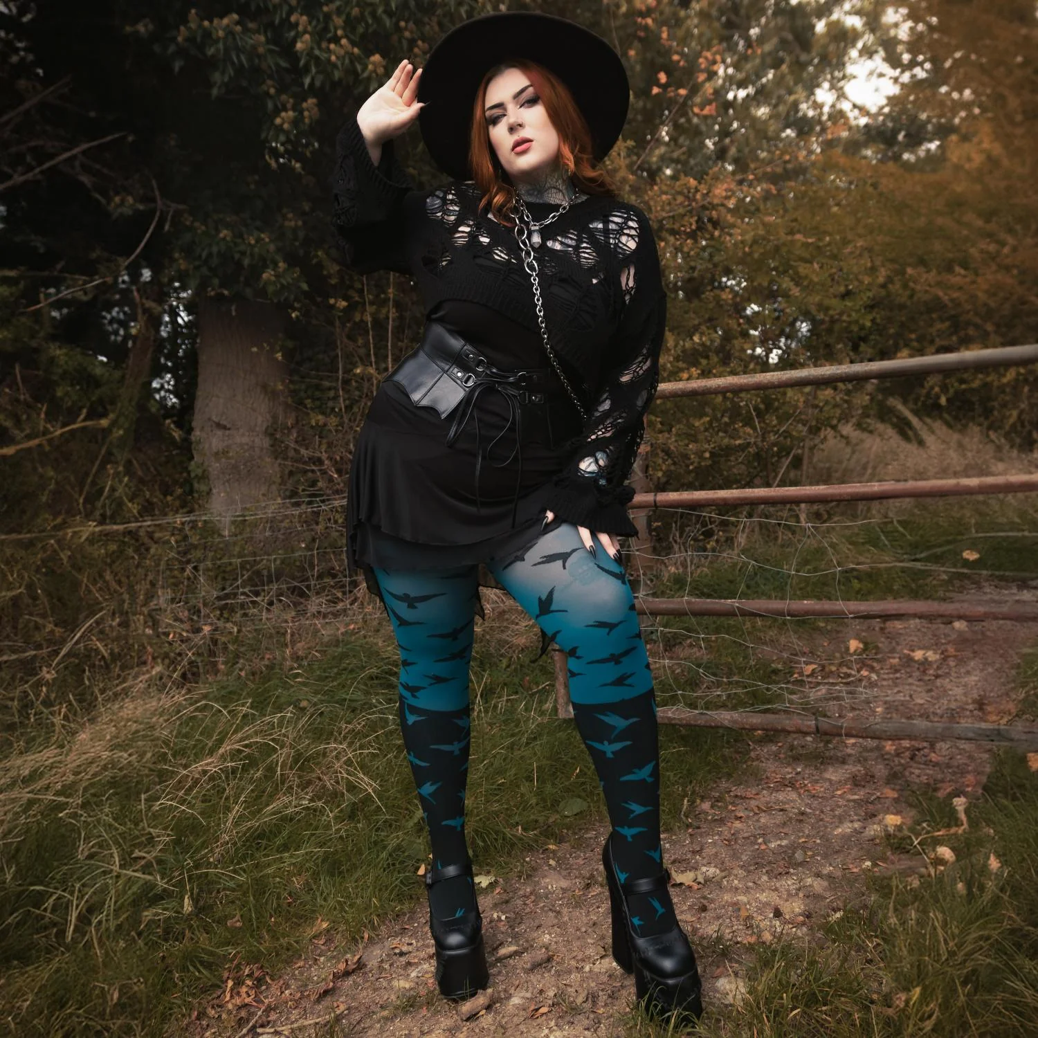 The Birds 80 Denier Tights - Aurora - Zenithce