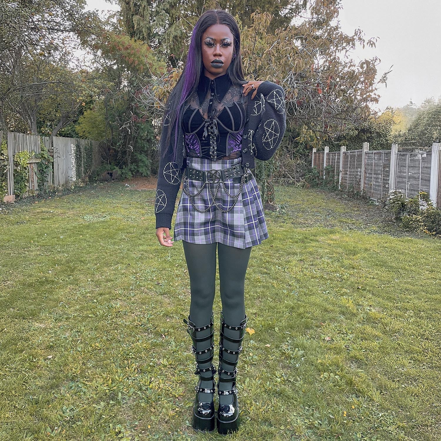 80 Denier Tights - Crocodile - Zenithce