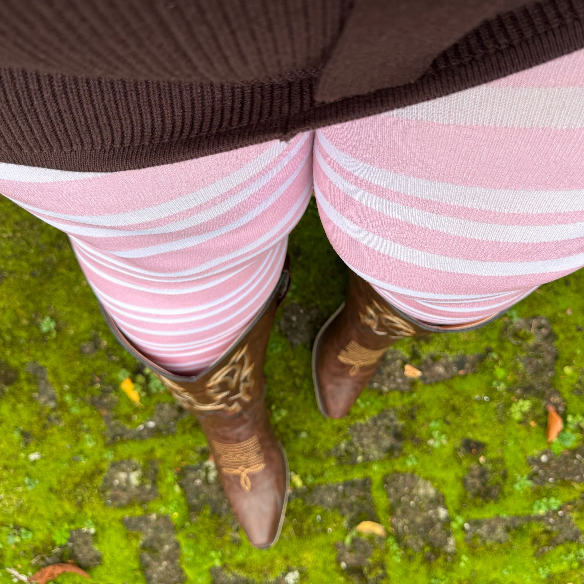 Christmas Tights - Sugar Plum - Zenithce