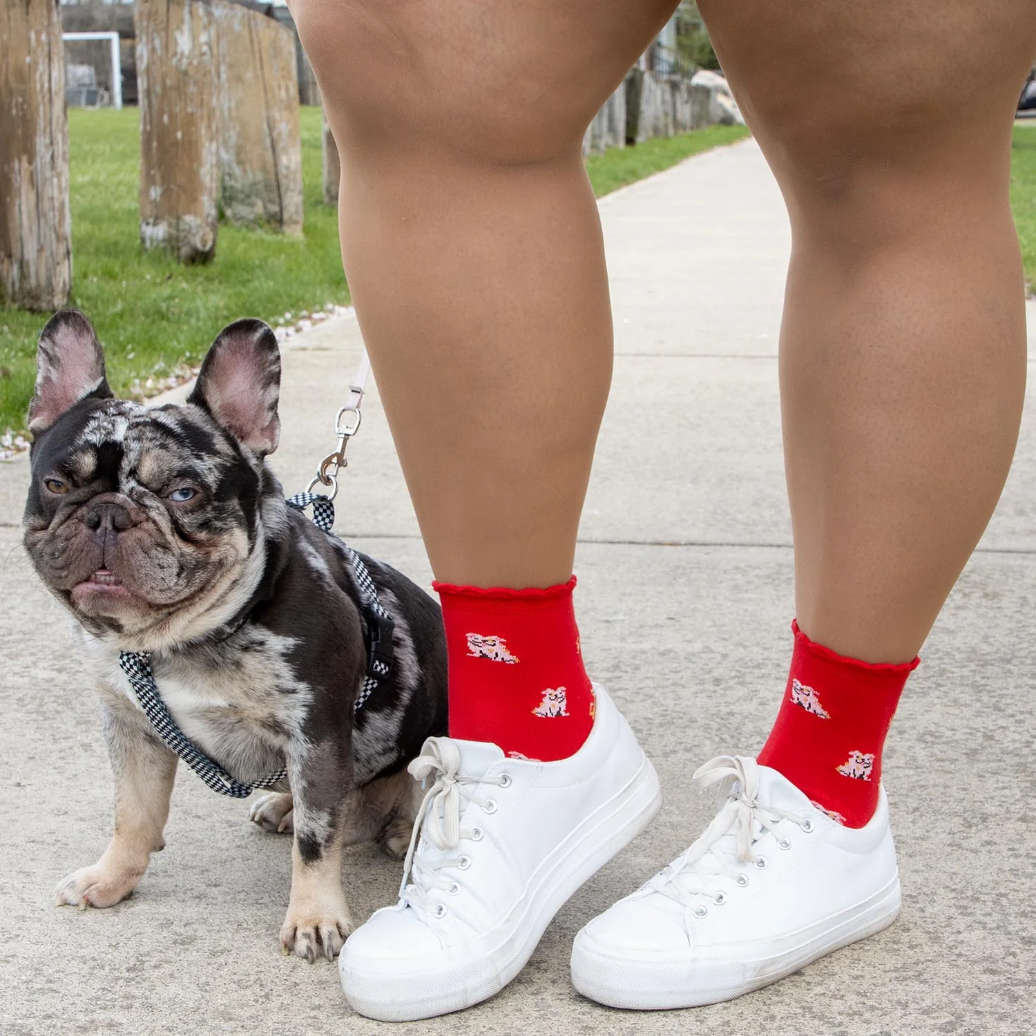Bamboo Ankle Socks - Woof - Zenithce