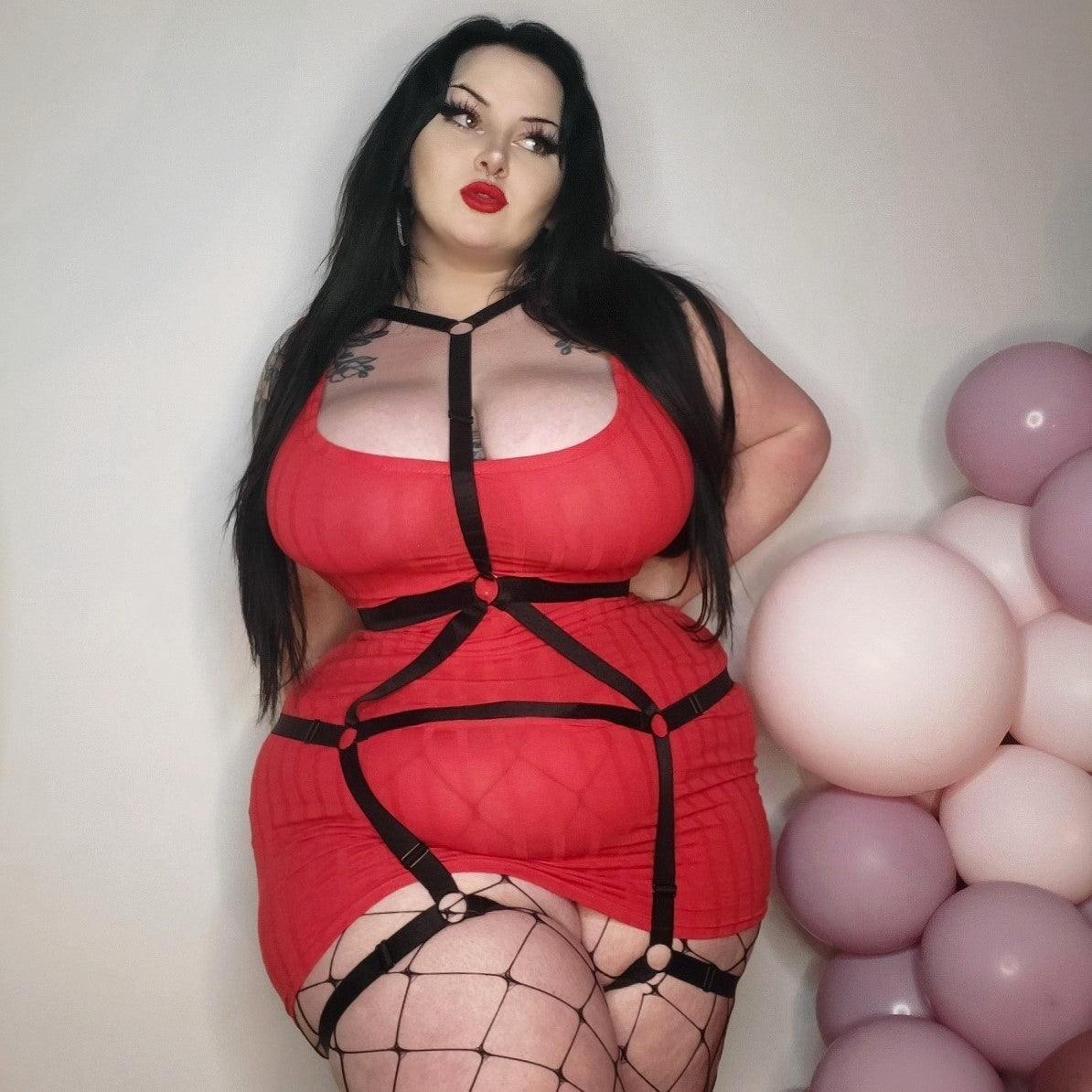 Switch Body Harness - Zenithce