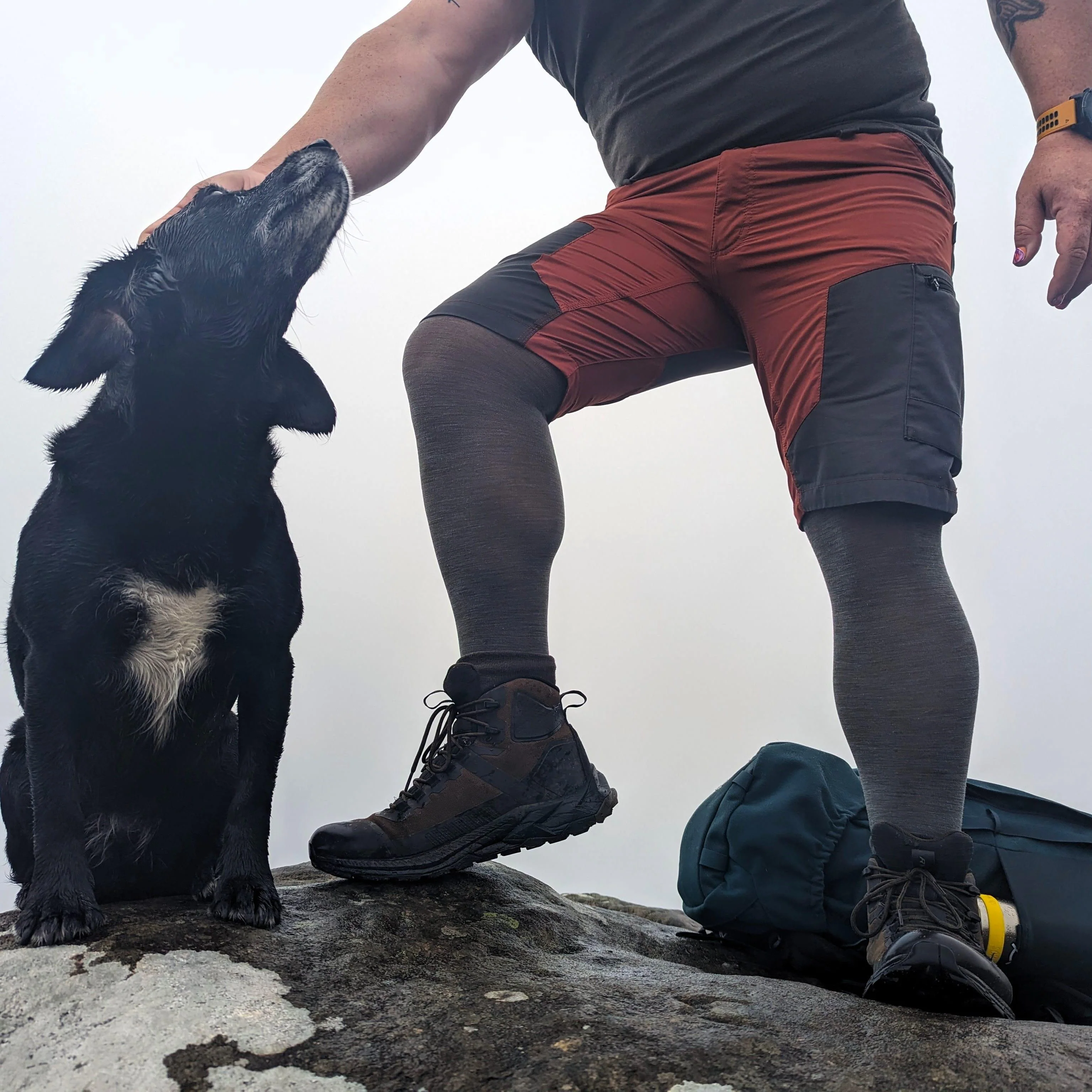 Merino Wool Tights - Silver Lining - Zenithce