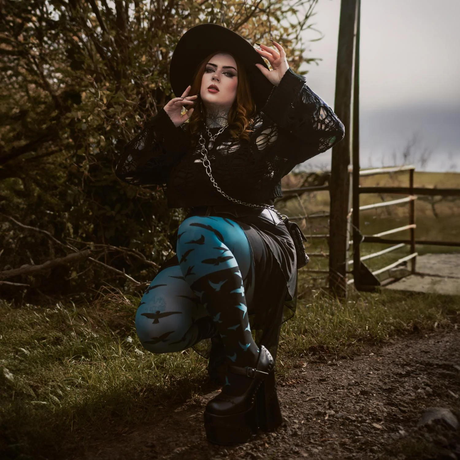 The Birds 80 Denier Tights - Aurora - Zenithce