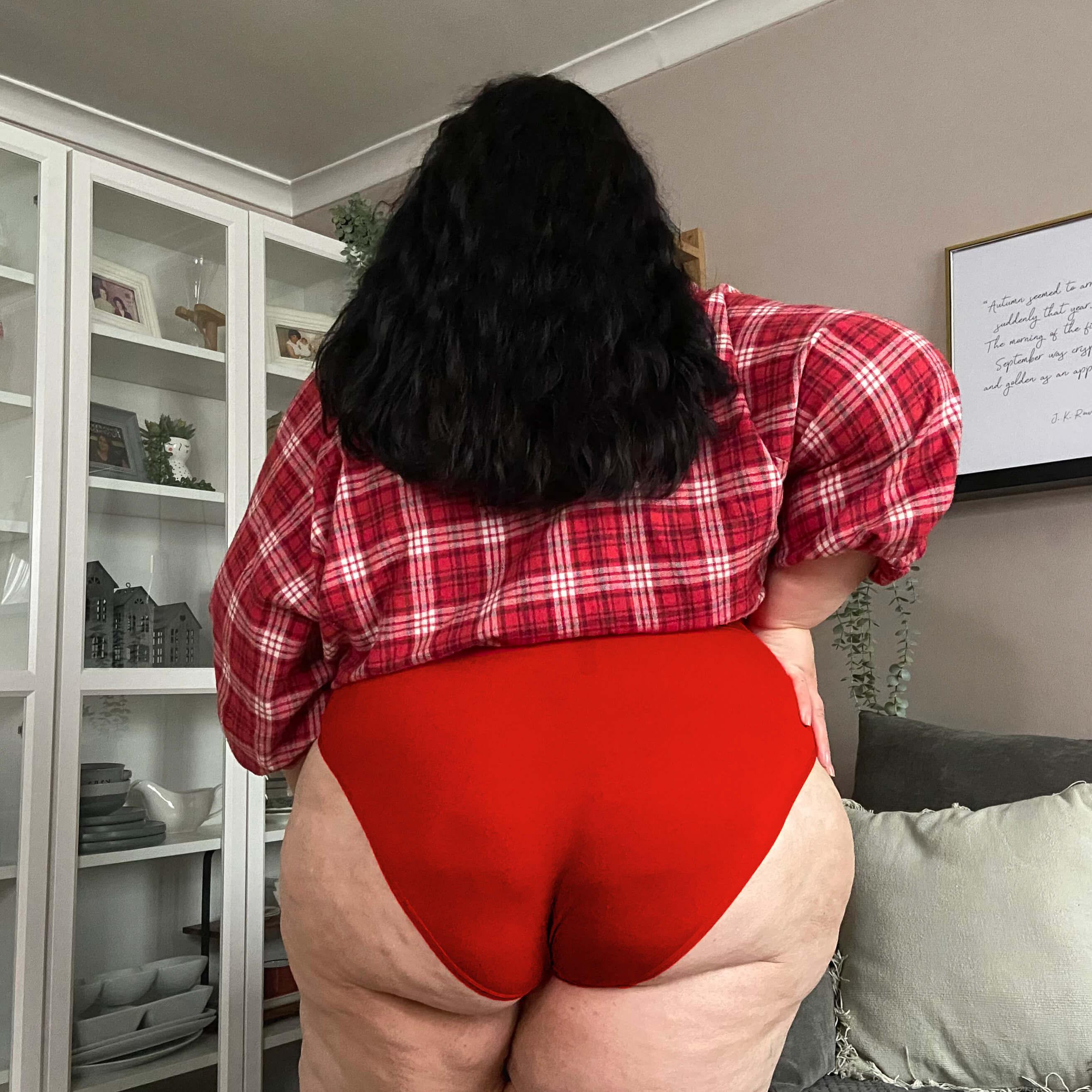 Organic Cotton Super High Leg Knickers - Lobster - Zenithce