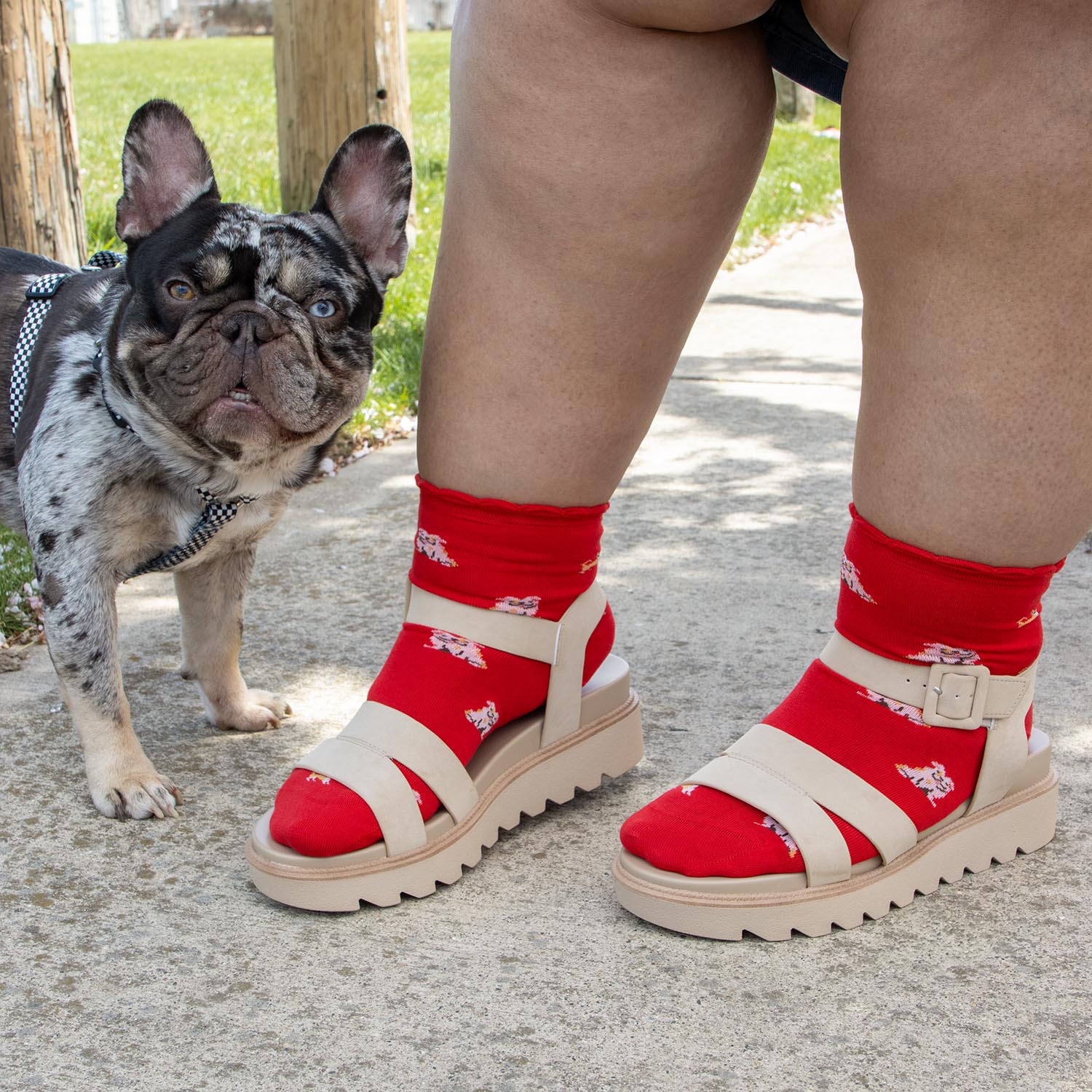 Bamboo Ankle Socks - Woof - Zenithce