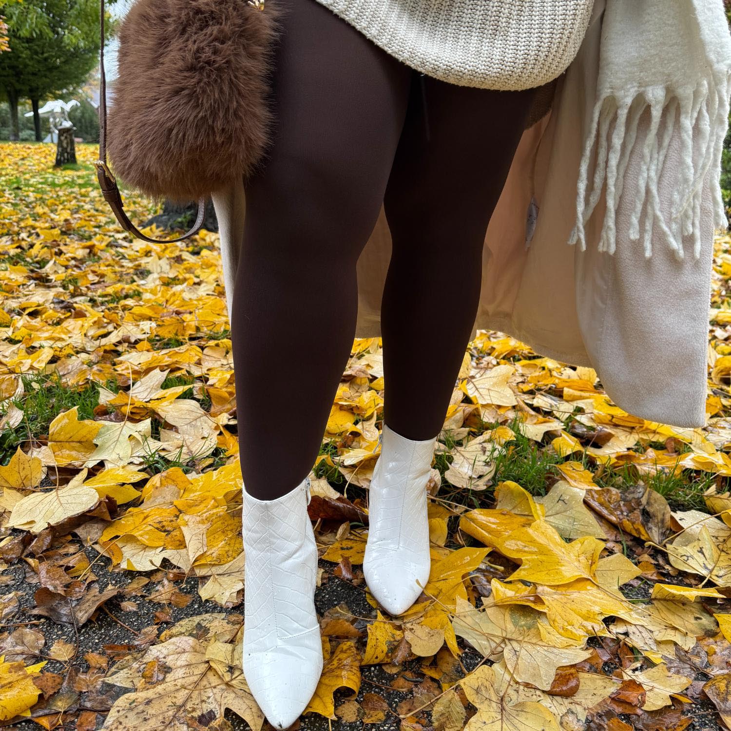 120 Denier Tights - Bear - Zenithce