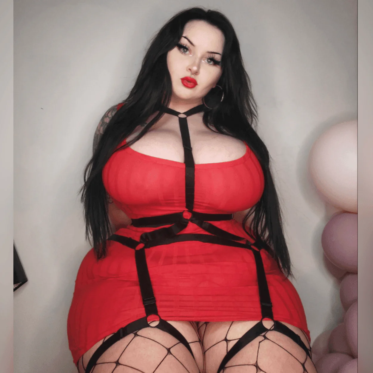 Switch Body Harness - Zenithce