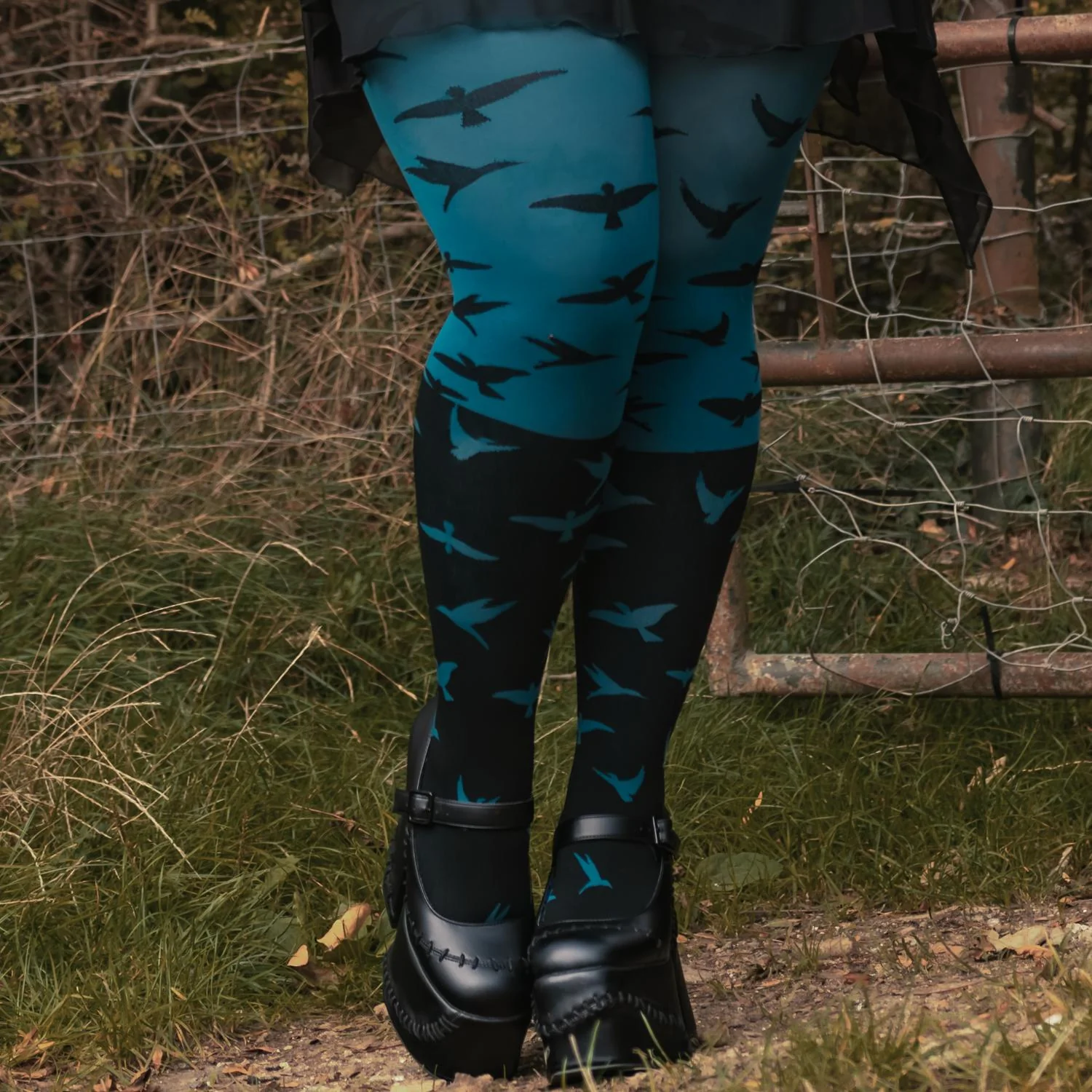 The Birds 80 Denier Tights - Aurora - Zenithce